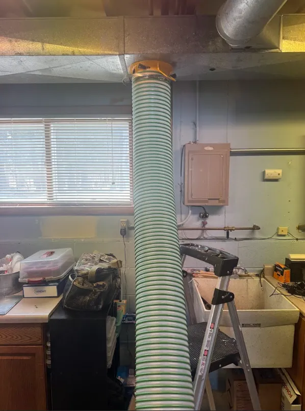 Cleaning project photo 5