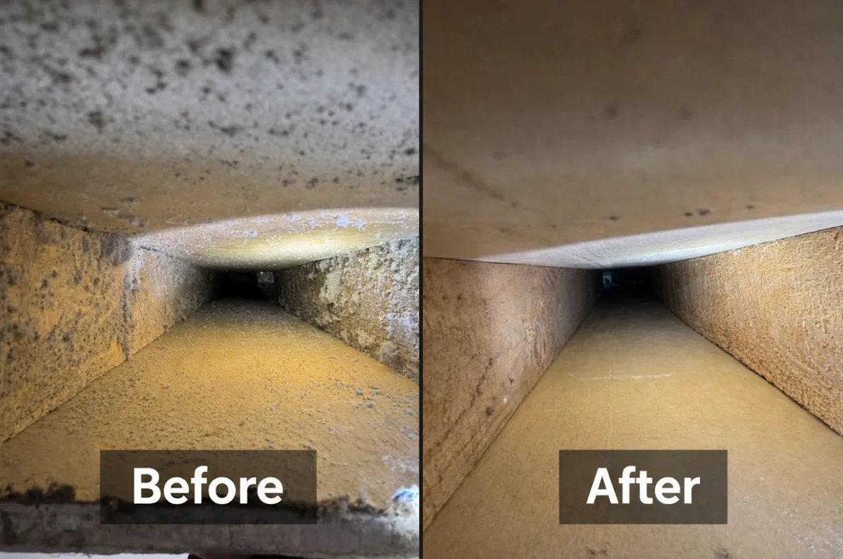 Cleaning project photo 4
